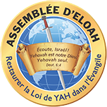 Blog - The Assembly of Eloah